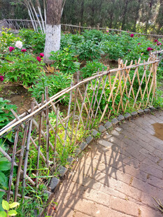 竹制围栏装点花园小径