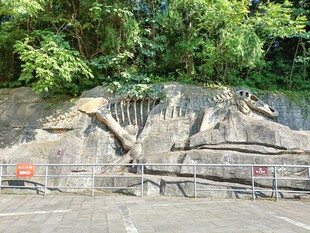 硅化木地质公园