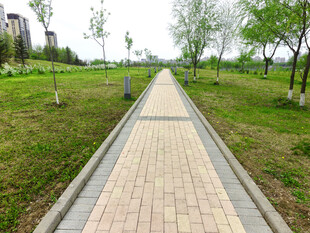 公园中的砖石铺就林荫小道