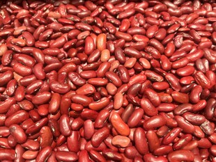 红芸豆