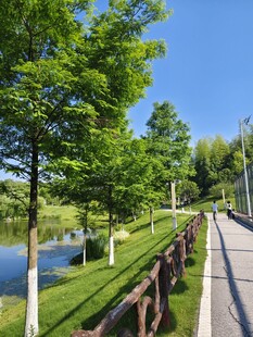 湖畔林荫步道美景