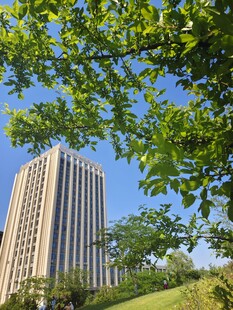 绿树掩映下的高楼大厦