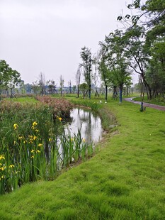 湖畔花草绿地美景