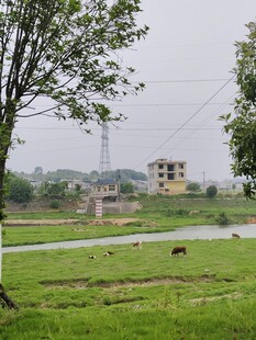 乡村田野风光景色