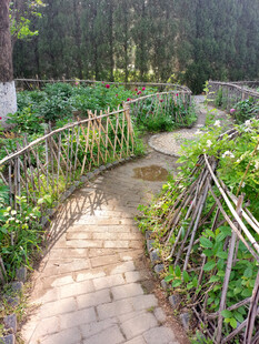 竹制围栏装点的花园小径