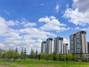 城市绿地旁的高楼景观