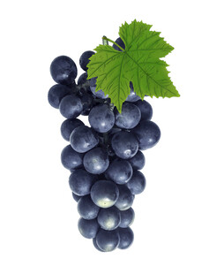 一串紫葡萄带绿叶