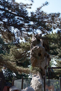 山林中的古朴雕塑