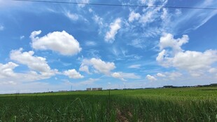 广袤绿野上的蓝天白云