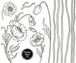 花卉线条图案设计素材