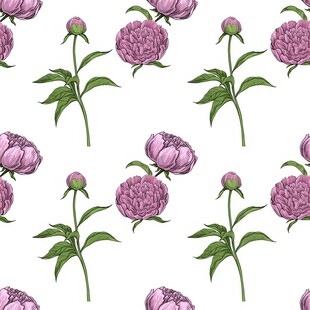 紫色牡丹花无缝图案背景