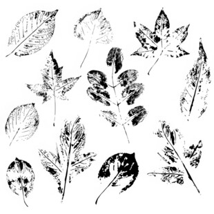 树叶拓印图案素材