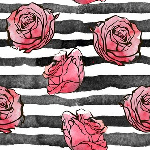 黑白条纹上的水彩粉玫瑰