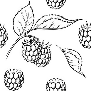 手绘树莓与叶片插画