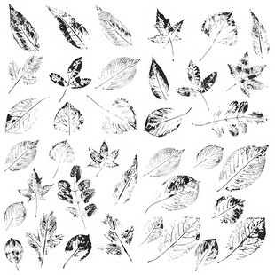 手绘黑白树叶图案集合