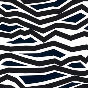 黑白几何波浪纹图案设计