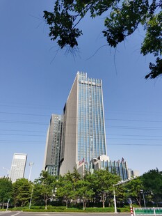 城市高楼与绿树景观
