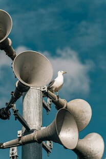 白鸽立于扩音喇叭之上