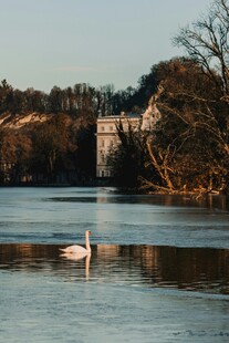湖畔天鹅与远处城堡美景