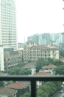 城市景观中的建筑与绿植