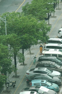 路边绿树成荫的停车场景