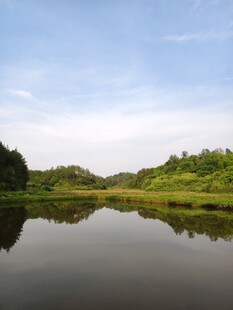 宁静湖畔绿意盎然的风光