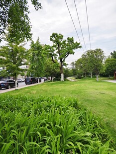 绿意盎然的城市公园一角