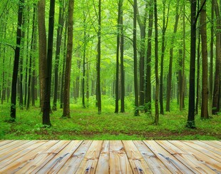 秋季野外风光卡通插画儿童画