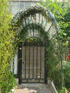 花园铁艺拱门绿植环绕