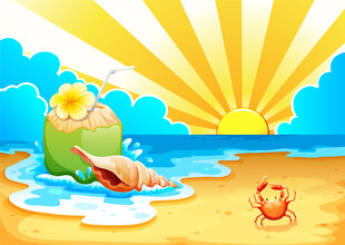 夏日海滩椰果螃蟹美景