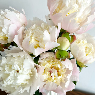 优雅白粉色系芍药花束