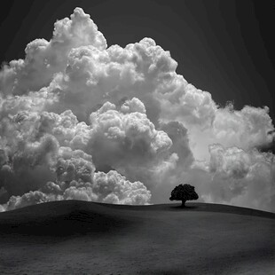 孤树云海