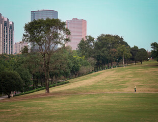 城市公园的绿地景观