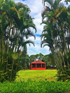 椰林小屋