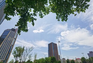 城市高楼与绿树蓝天景观