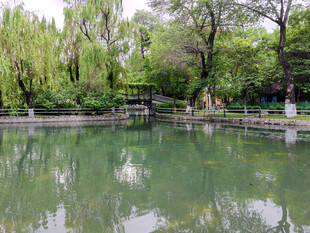 宁静湖畔绿树环绕美景