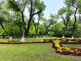 公园美丽花坛与葱郁树木