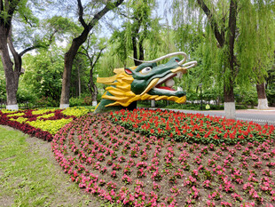 公园多彩花卉与雕塑景观