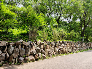 公园石墙旁的绿意小路