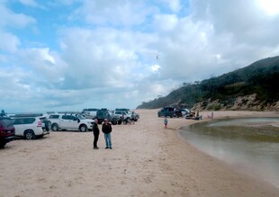 海滩边的车辆与人