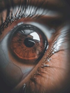 深邃迷人的棕色眼眸