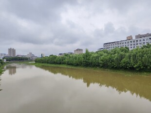 河畔绿树映河水