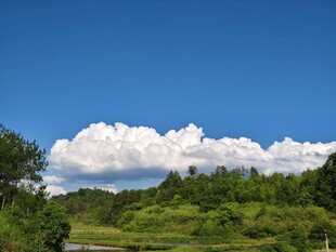 蓝天白云下的绿野风光