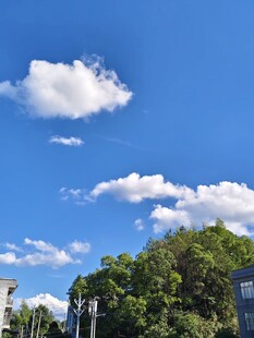 蓝天绿树风景图