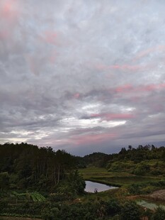 黄昏下的田野与水塘景色