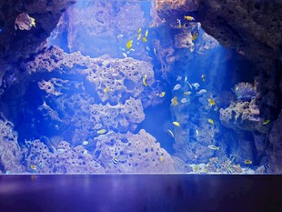 梦幻海底世界景观