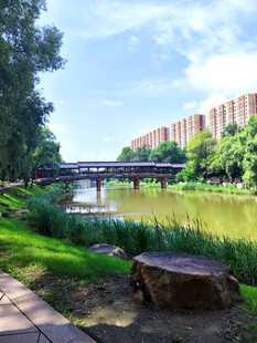 河畔公园美景