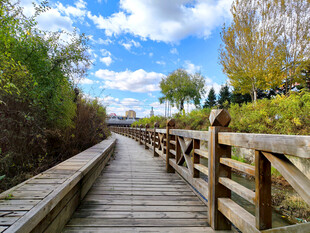 秋日木栈道风景