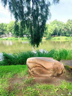 湖畔奇石伴绿树美景