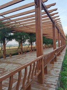 木质廊架下的休闲步道